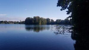 Entdeckertour zum Steinsee