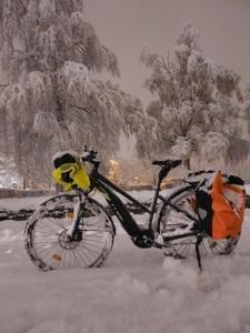 Entdeckertour: Die schönsten Weihnachtsmärkte in München 🎄☃️