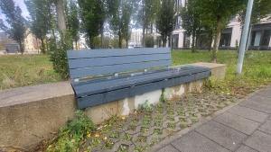 Stadtgedeck BMB: Bank-Mülleimer-Baum