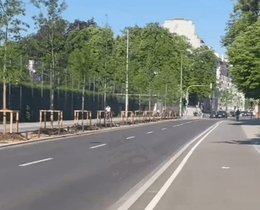 leere Rheinstraße mit Bäumen und breitem Radweg